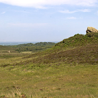 Agglestone is one of the high points on Godlingston Heath