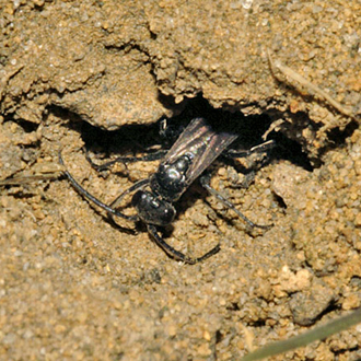 Coming into view after 13 minutes inside