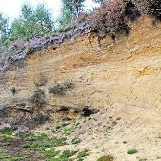 Disused dandpit at Frensham Common